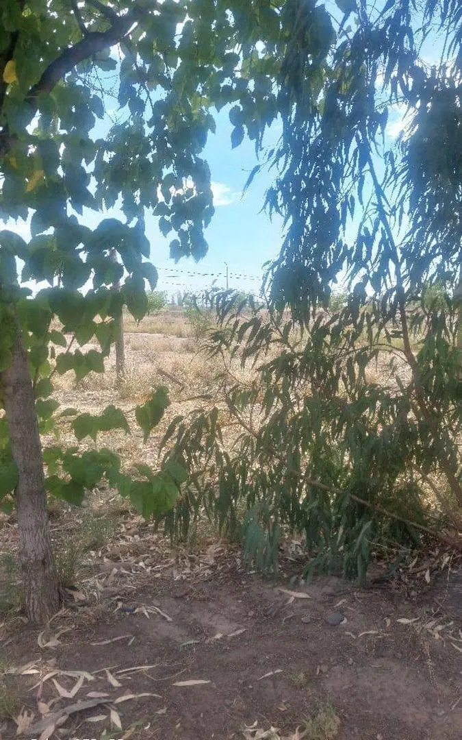 Venta  de lote .Superficie: 1000 metros 4