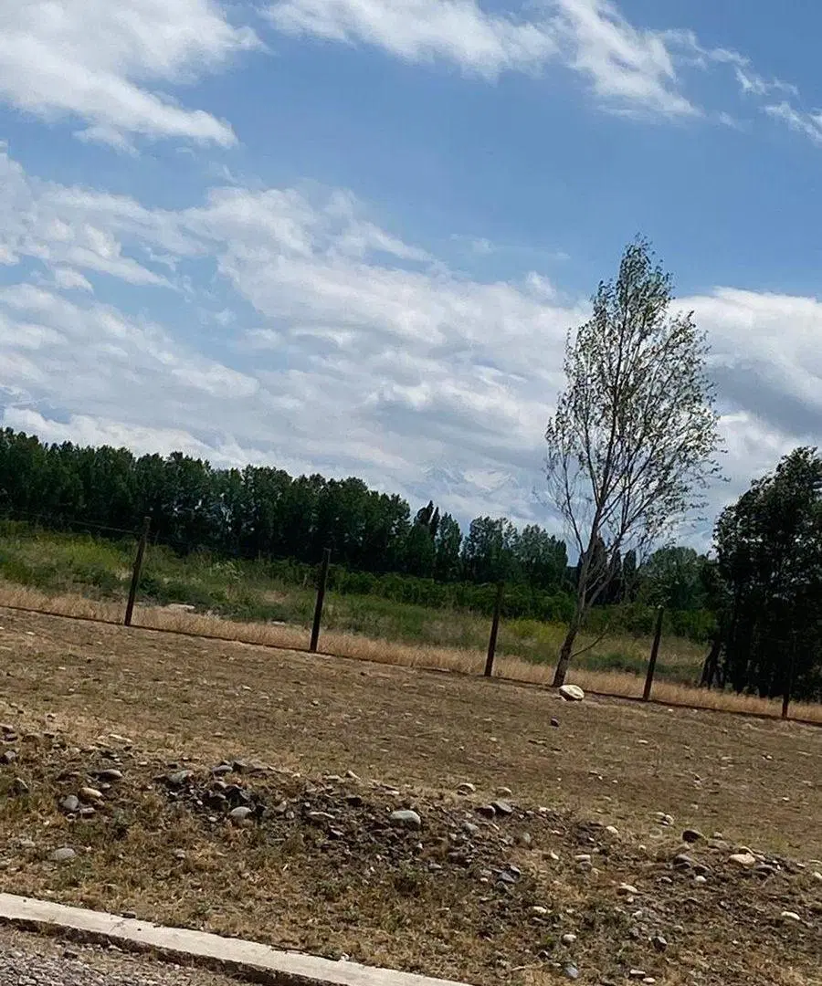 Oportunidad de inversión y vida en Entrevides 4