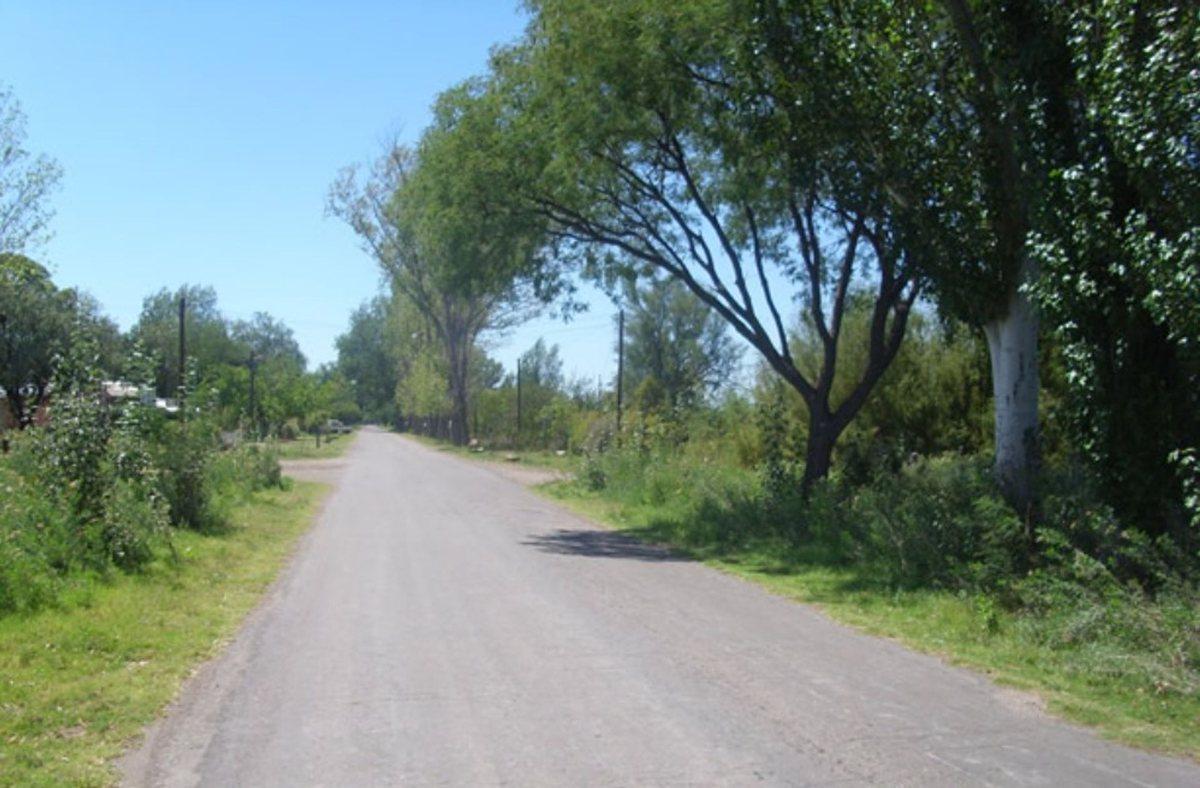 OPORTUNIDAD DE INVERSIÓN EN MENDOZA, GRAL ALVEAR