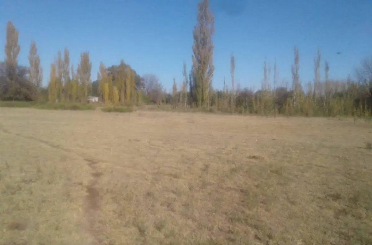 OPORTUNIDAD DE INVERSIÓN EN MENDOZA, GRAL ALVEAR 3