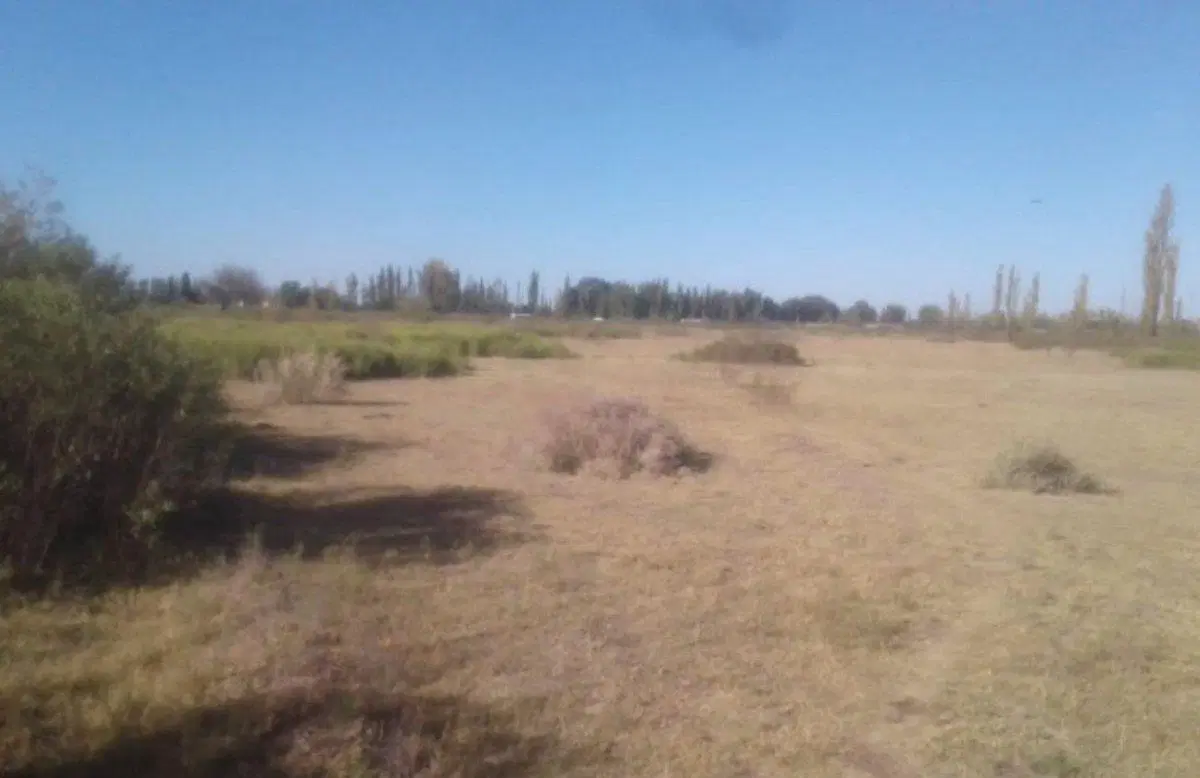 OPORTUNIDAD DE INVERSIÓN EN MENDOZA, GRAL ALVEAR 4