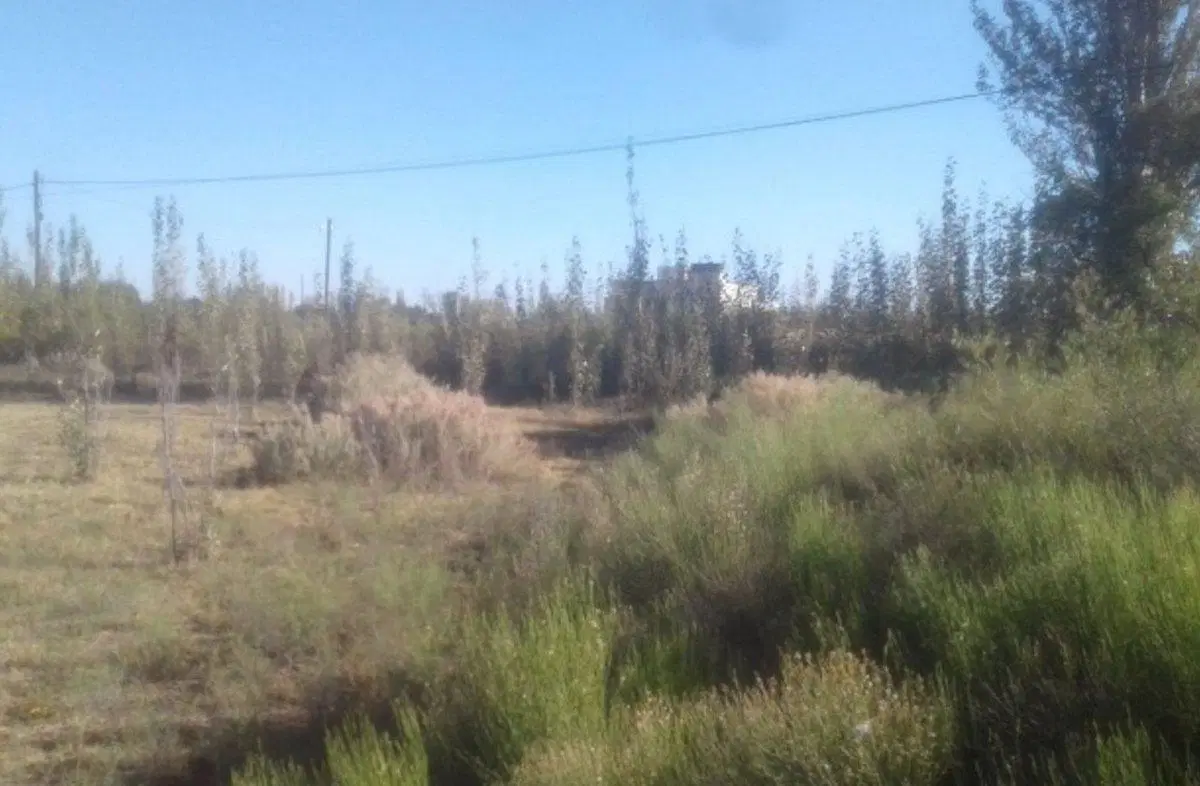 OPORTUNIDAD DE INVERSIÓN EN MENDOZA, GRAL ALVEAR 2