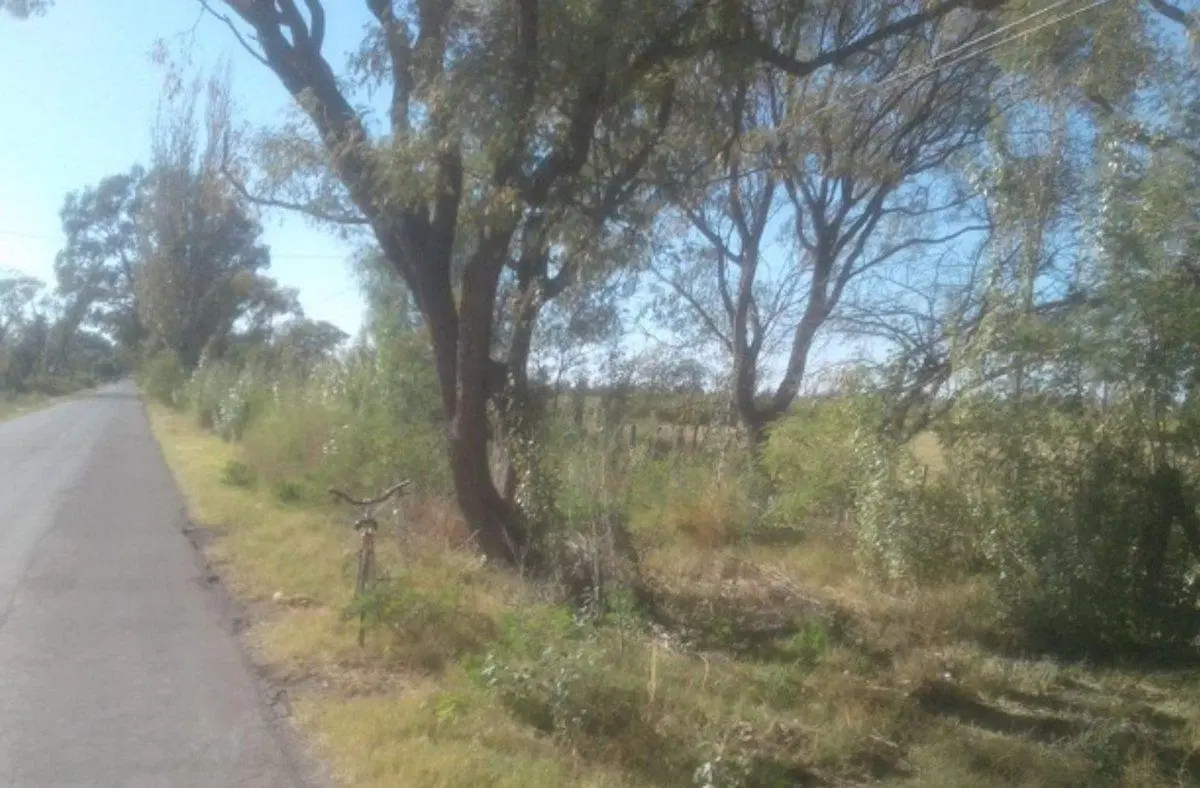 OPORTUNIDAD DE INVERSIÓN EN MENDOZA, GRAL ALVEAR 5