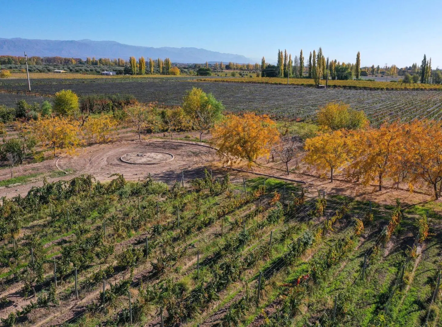 VENTA LOTE LUJAN PERDRIEL MENDOZA 3