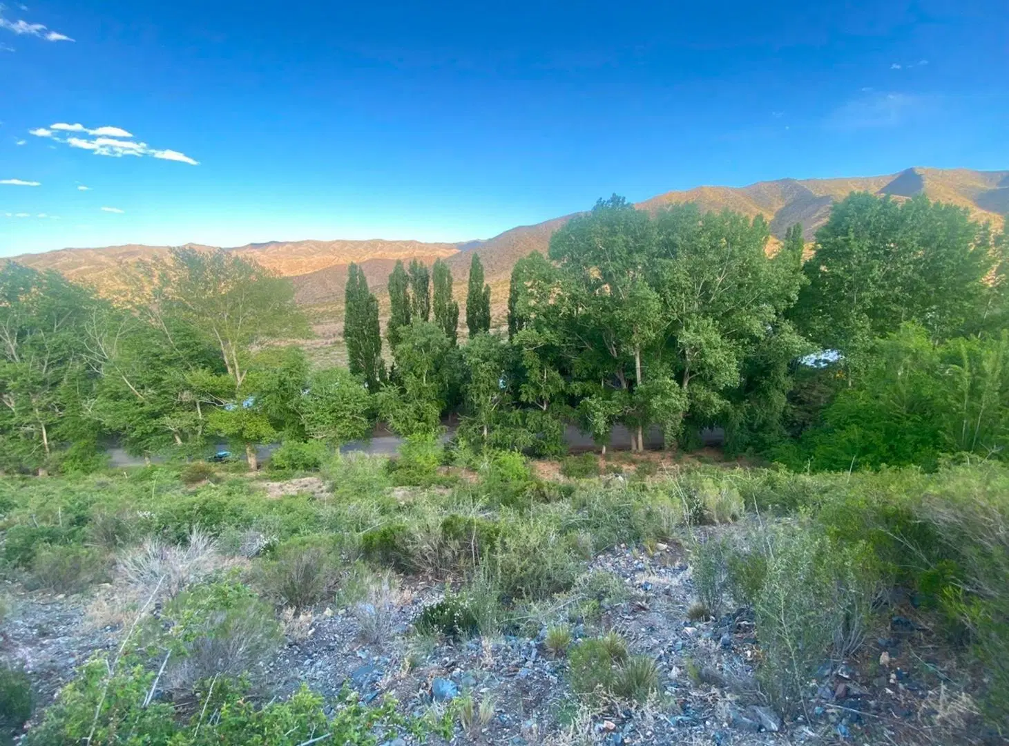 VENTA LOTE POTRERILLOS. MENDOZA 4