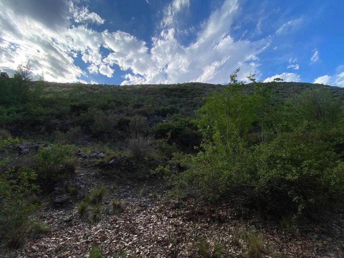 VENTA LOTE POTRERILLOS. MENDOZA