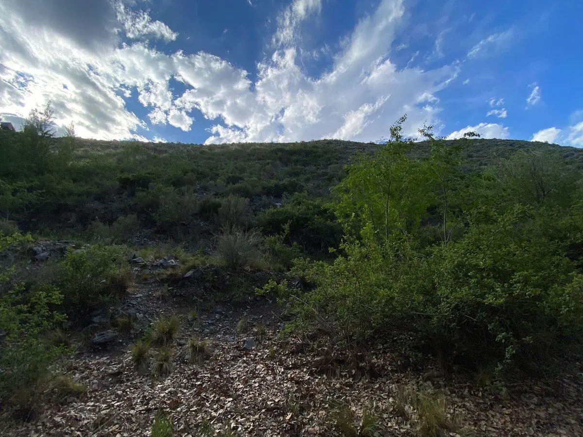 VENTA LOTE POTRERILLOS. MENDOZA 2