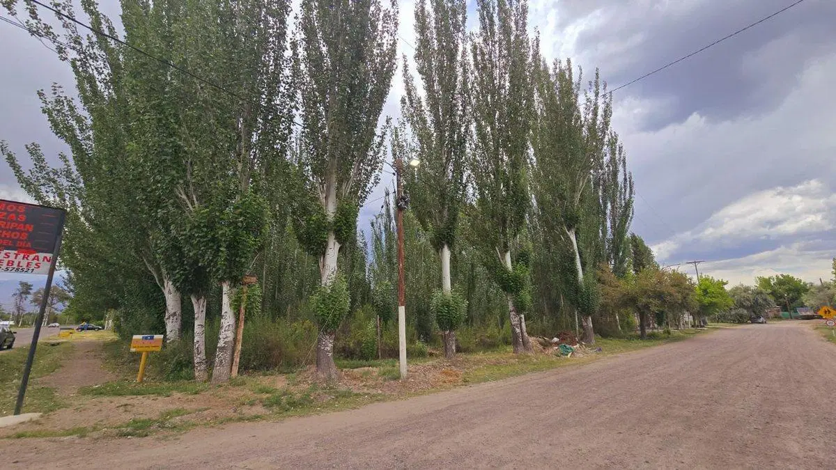 Venta Lote, esquina inmejorable, Colonia las Rosas 5
