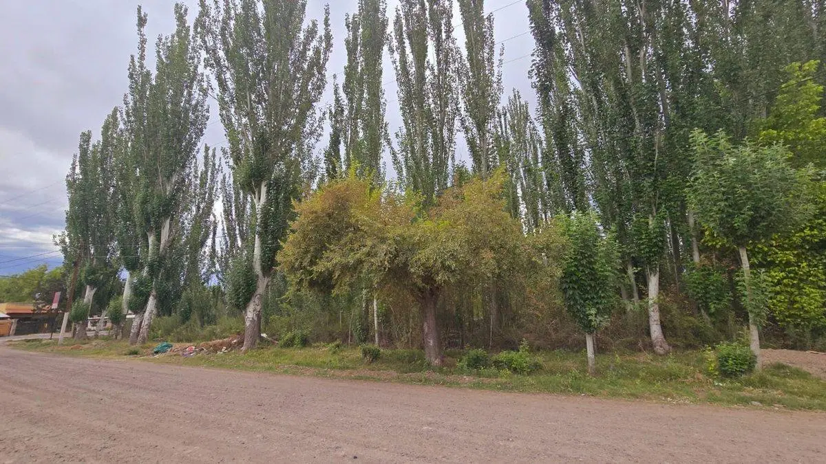 Venta Lote, esquina inmejorable, Colonia las Rosas 4