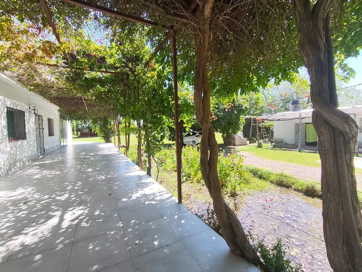 VENTA DE FINCA PRODUCTIVA CON 2 CASAS Y PILETA 2