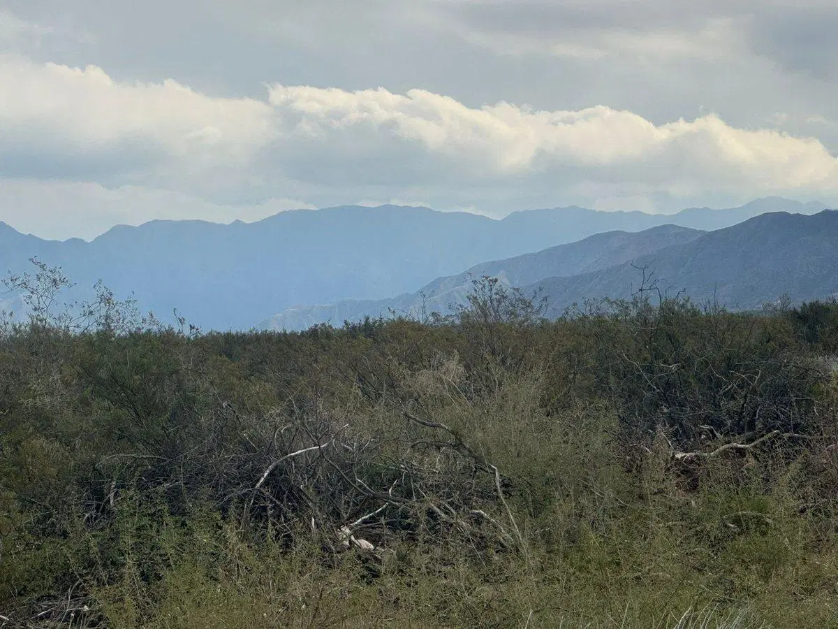 VENTA LOTE LUJAN DE CUYO MENDOZA 3