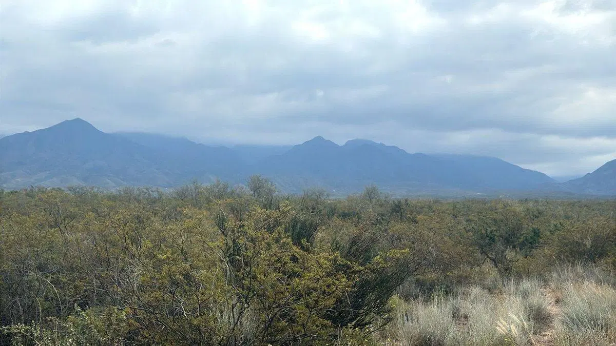 VENTA LOTE LUJAN DE CUYO MENDOZA 2