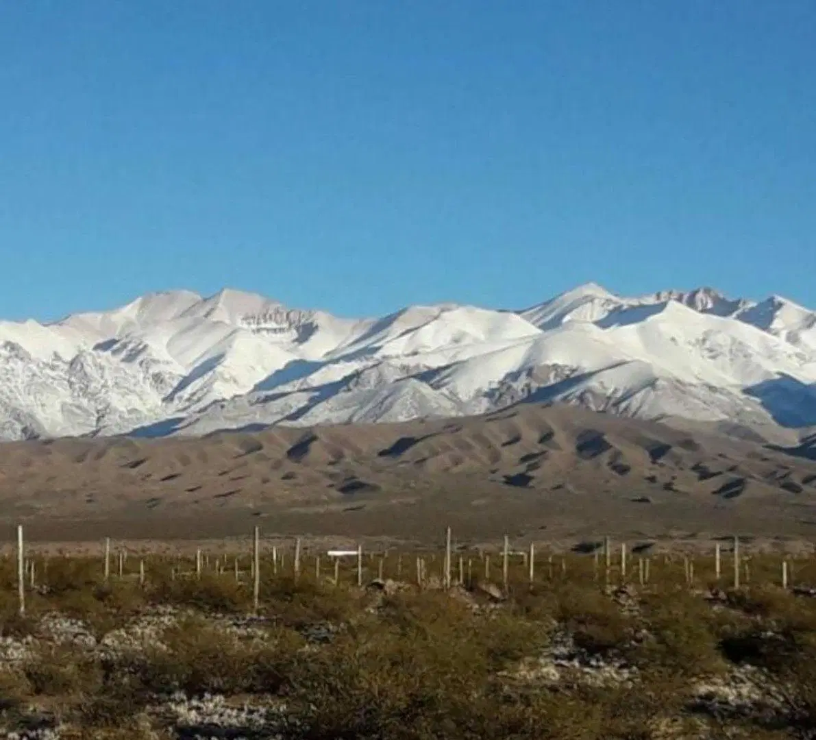 VENTA TERRENO EN LAS BÓVEDAS USPALLATE MENDOZA 2