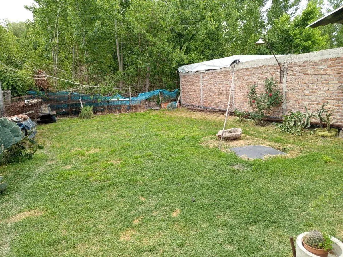 VENTA CASA EN TUNUYAN-COLONIA LAS ROSAS- MENDOZA 3