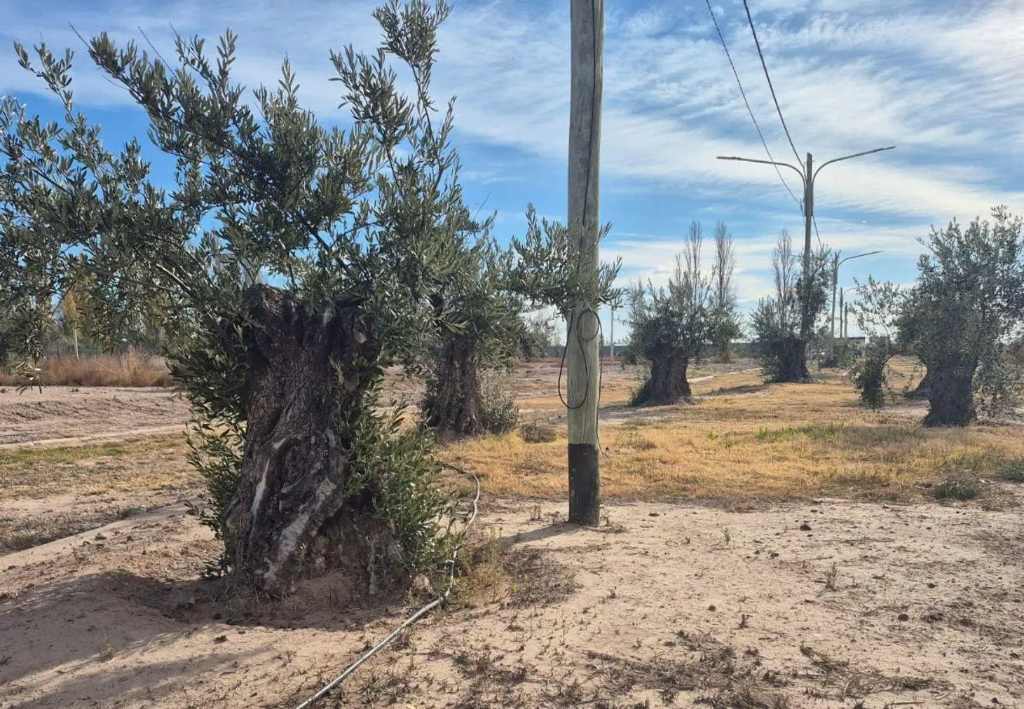 LOTE BARRIO PRIVADO LUJAN DE CUYO, MENDOZA 4