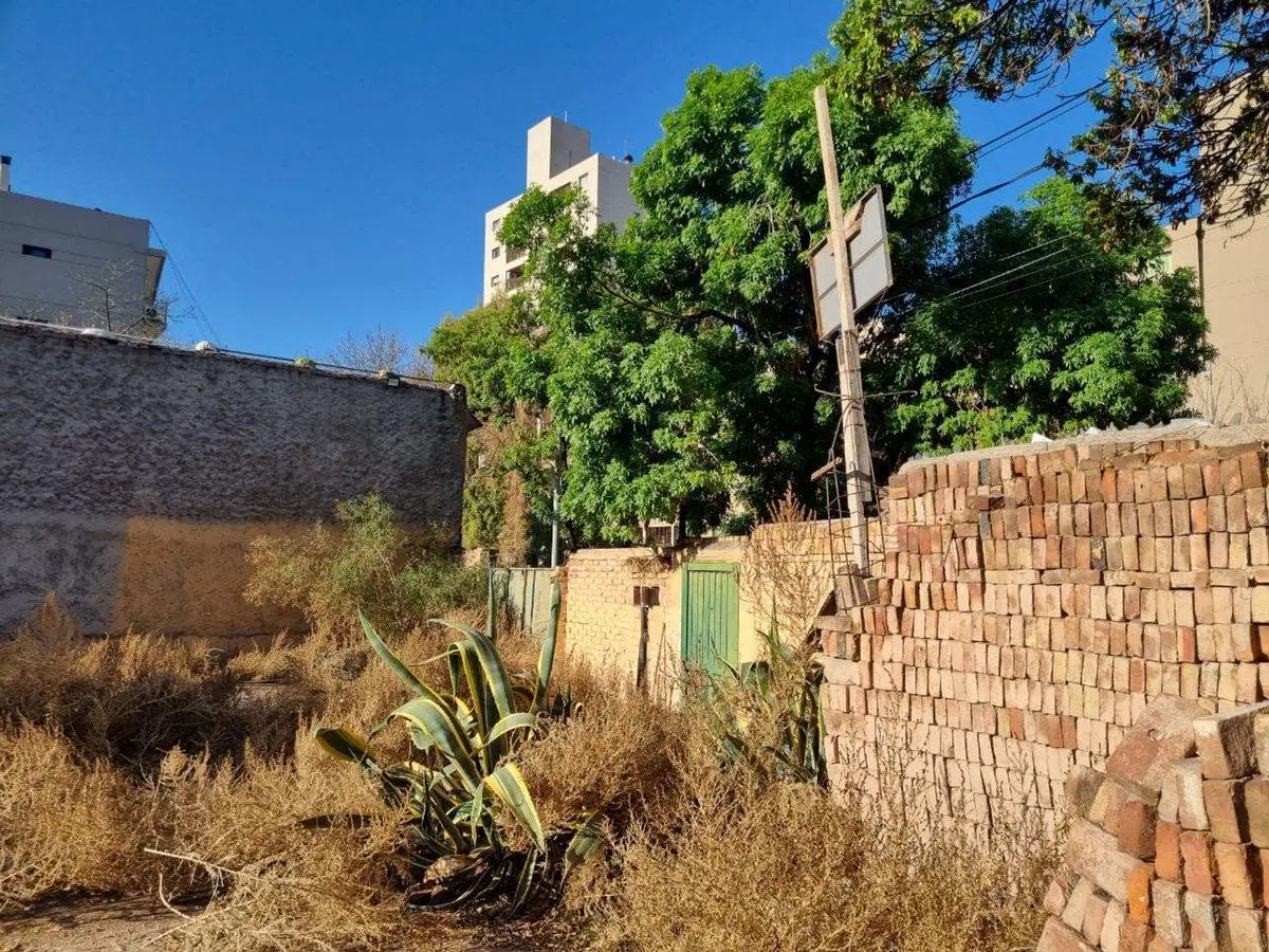 VENTA DE LOTE EN MENDOZA SEXTA TIBURCIO BENEGAS 3