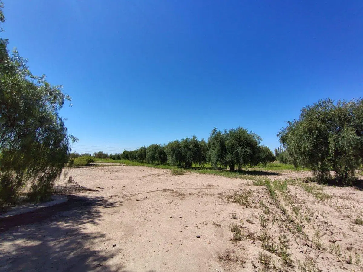 Se vende terreno en Maipú, Mendoza 2