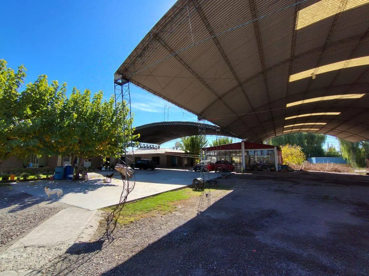 Se vende terreno con tinglados en Maipú, Mendoza 5