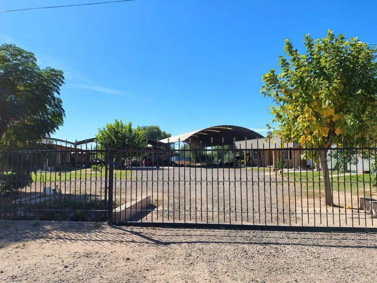 Se vende terreno con tinglados en Maipú, Mendoza 4