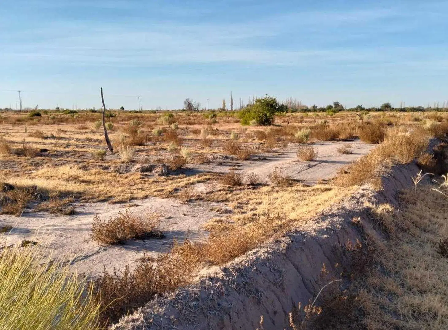 Venta Finca en Real del Padre, San Rafael, Mendoza 8