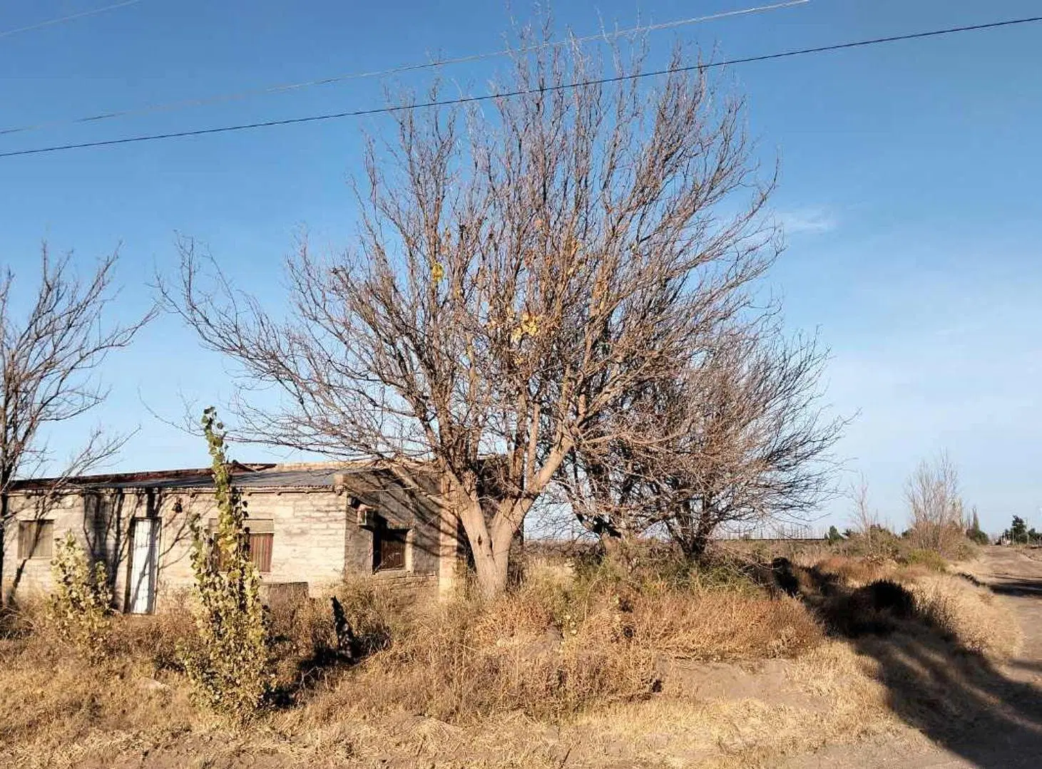 FINCA EN REAL DEL PADRE, SAN RAFAEL, MENDOZA 3