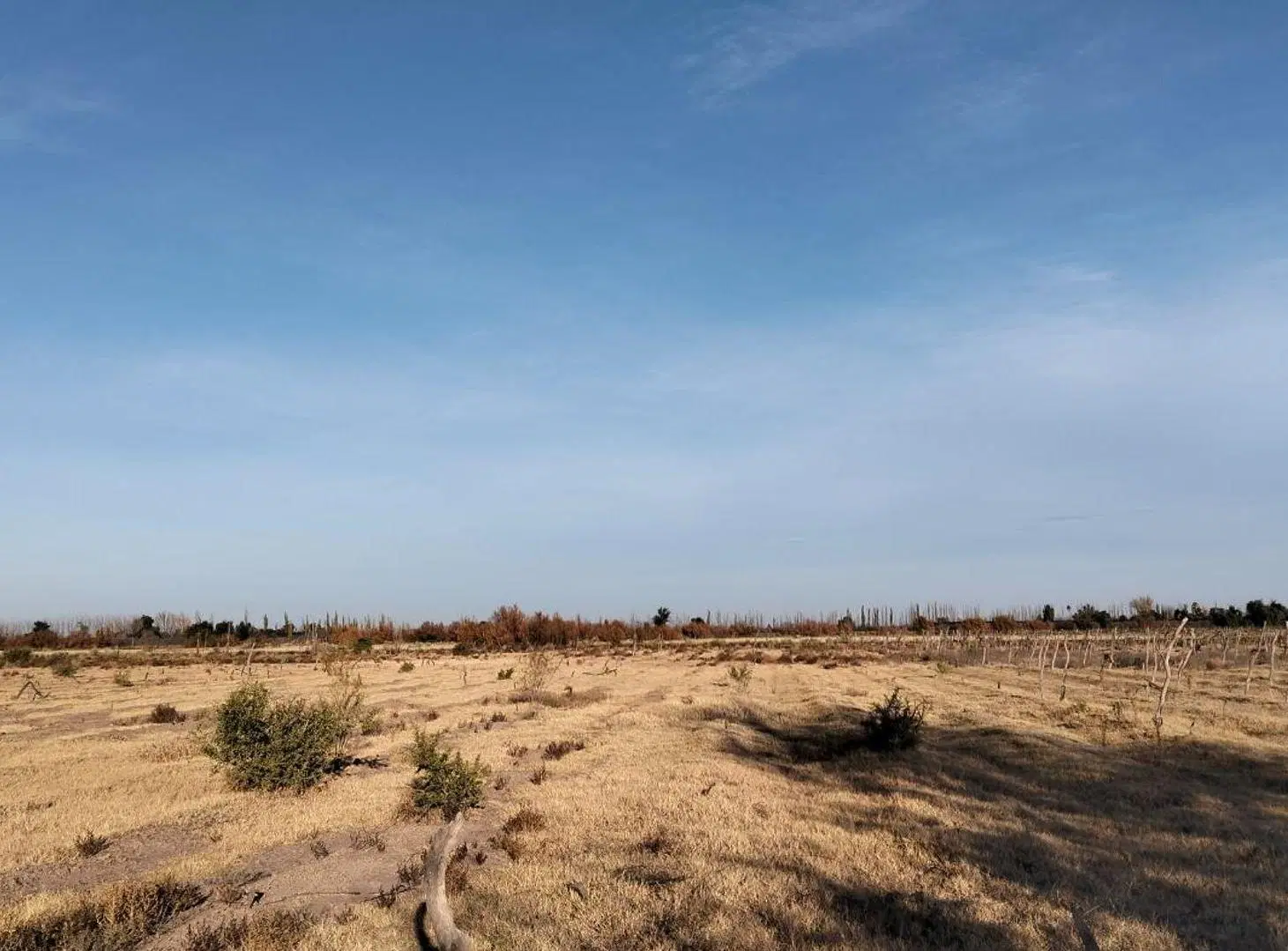 FINCA EN REAL DEL PADRE, SAN RAFAEL, MENDOZA 5
