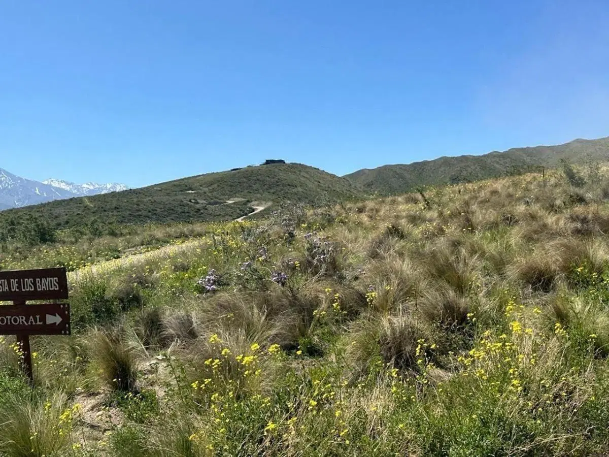 VENTA LOTE TUPUNGATO MENDOZA LA CARRERA 4