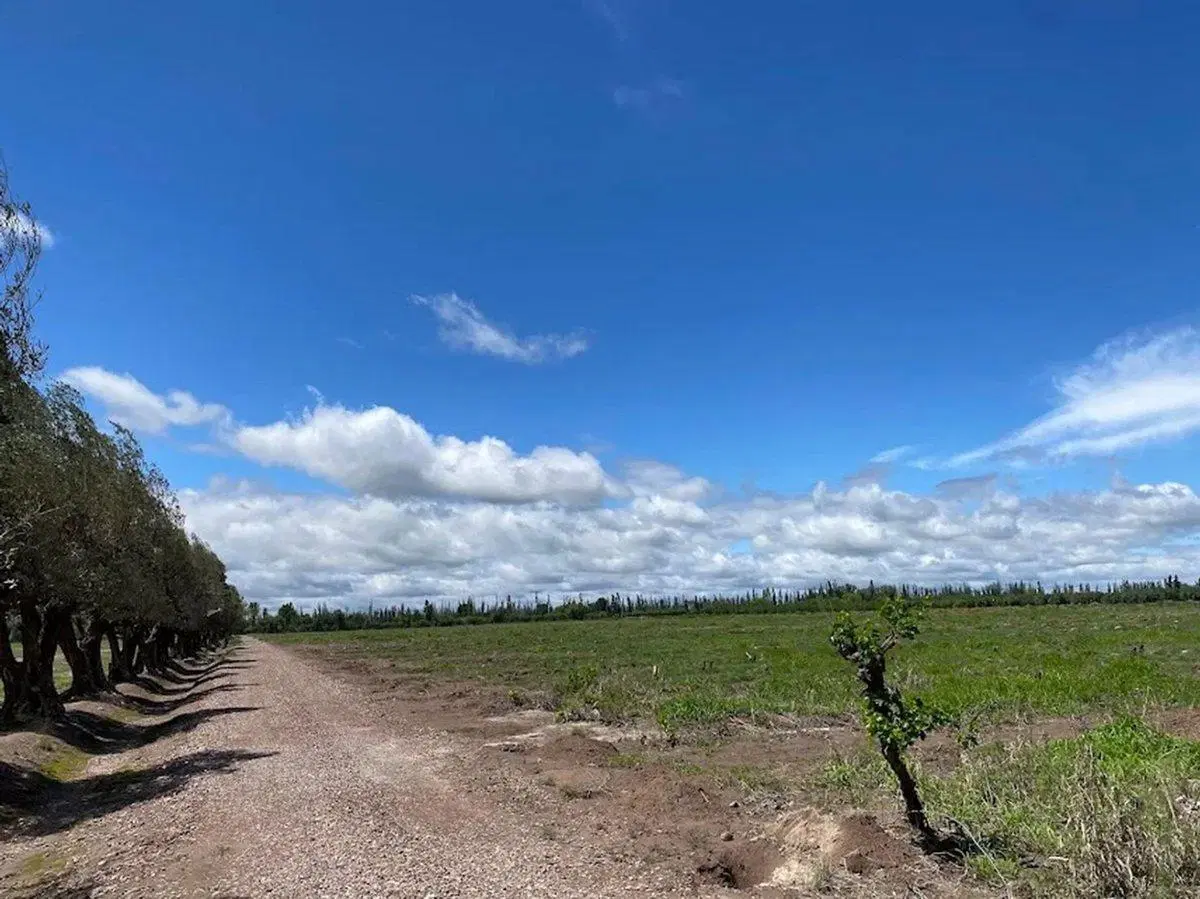 VENTA LOTE ALTO VERDE SAN MARTIN 5