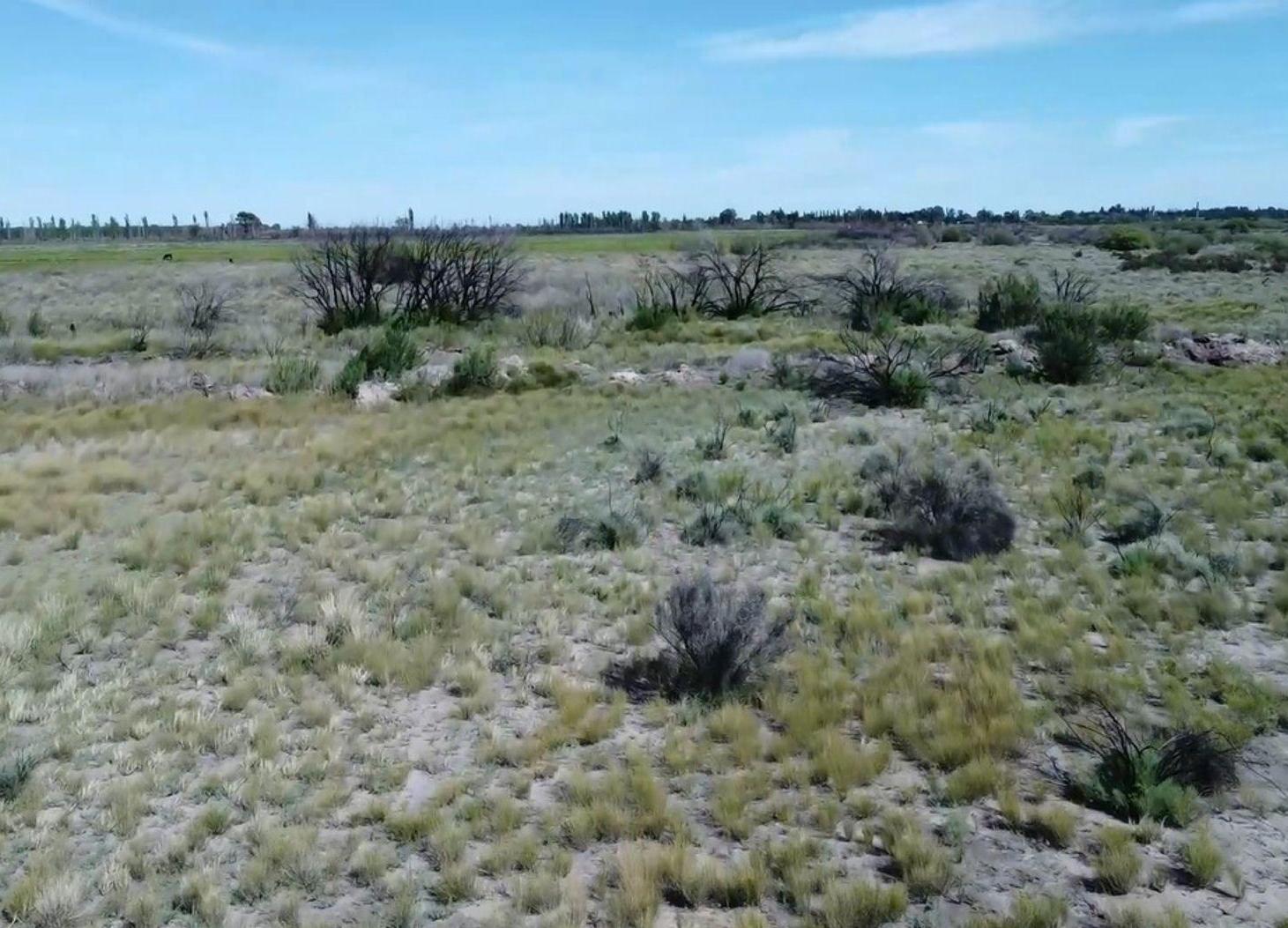 Foto de Venta de Finca en San Rafael, Mendoza., imagen 3