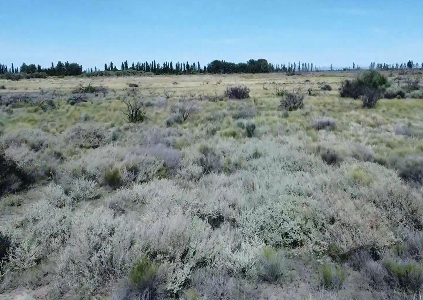 Foto de Venta de Finca en San Rafael, Mendoza., imagen 2