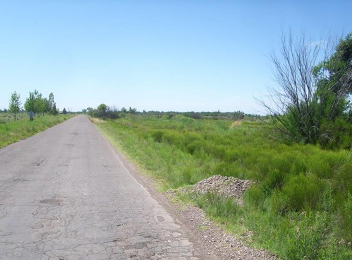 Foto de Venta de Finca en San Rafael, Mendoza., imagen 5