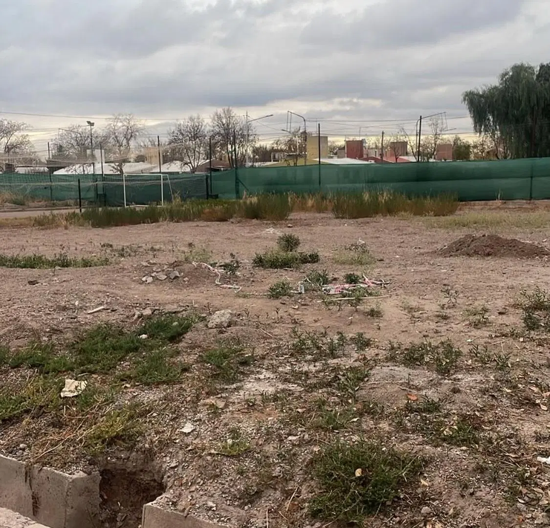 VENTA LOTE LUJAN DE CUYO MENDOZA LOS CAROLINOS 6
