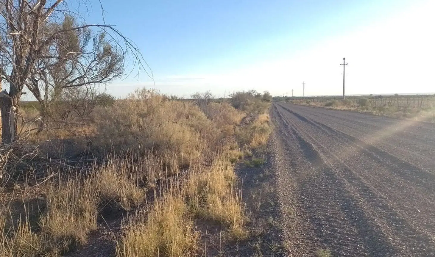 VENTA FINCA SANTA ROSA MENDOZA 3