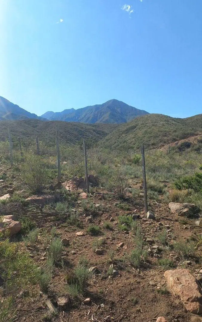 VENTA LOTE LA CRUCESITA MENDOZA 2