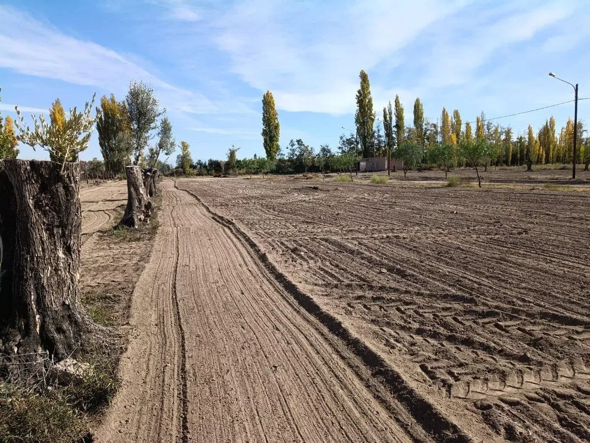 VENTA LOTES LA POSTA JUNIN MENDOZA 1