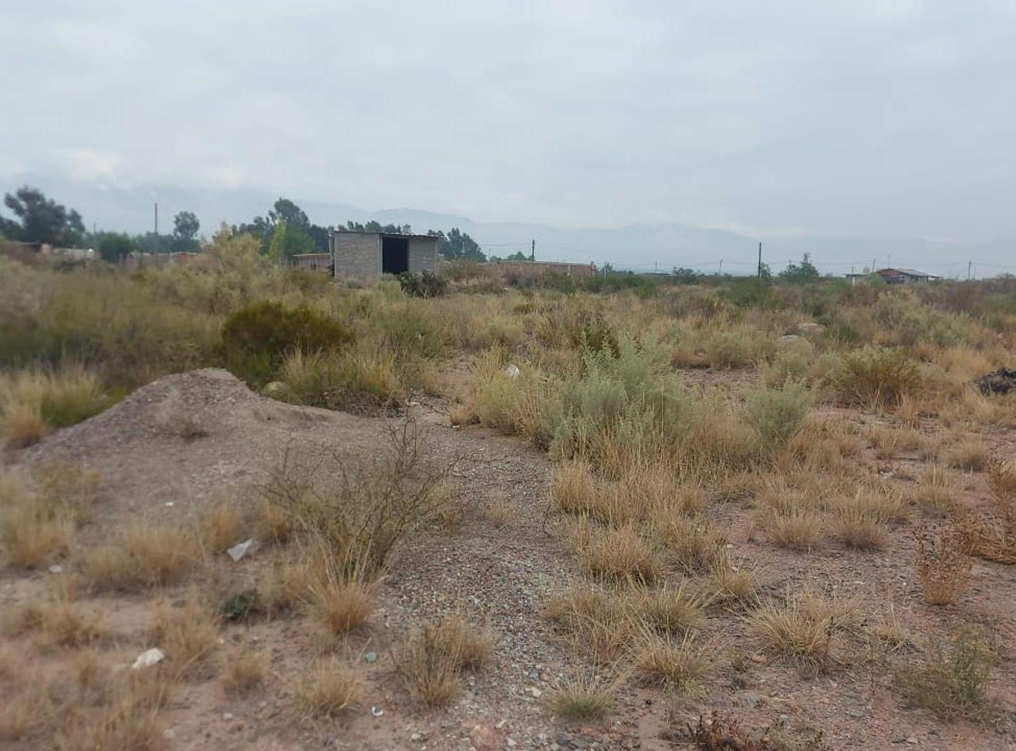 Foto de VENTA CASA E INVERSION PARA LOTEOS PEDEMONTE MZA, imagen 5