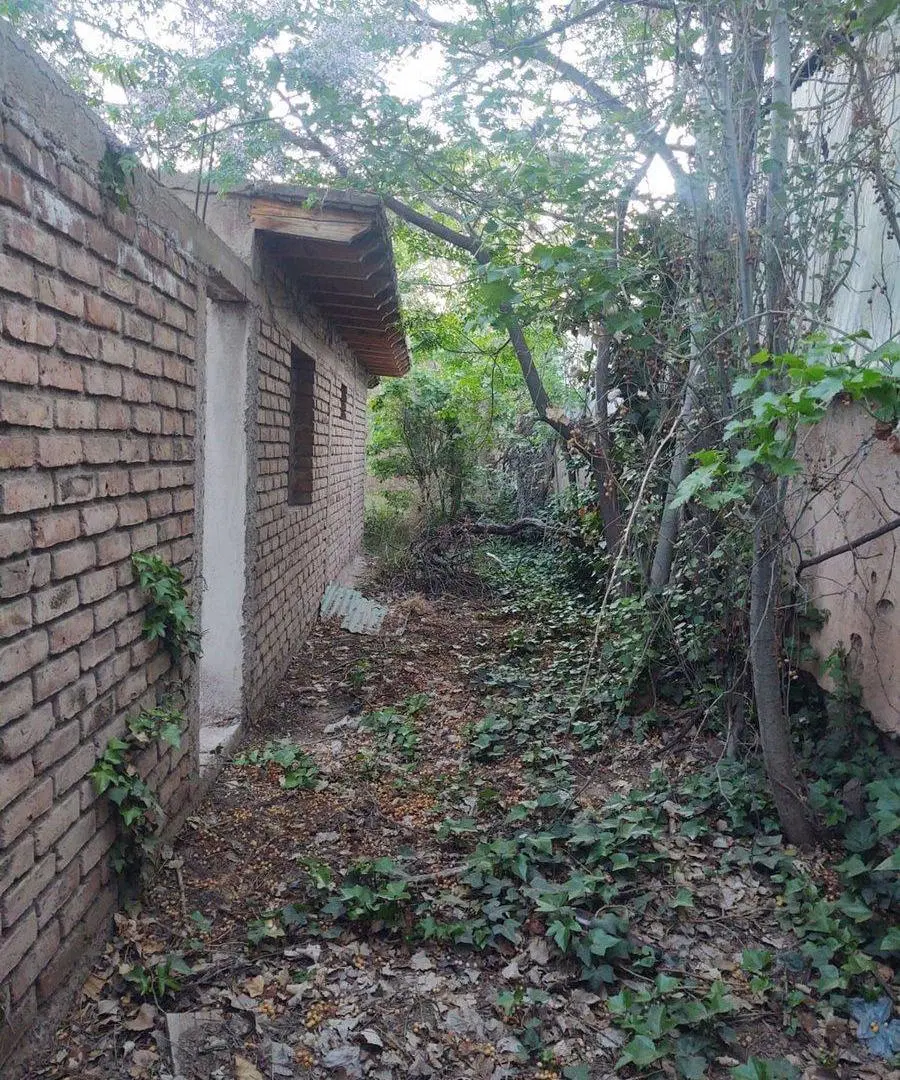 VENTA LOTE CON CONSTRUCCIÓN EN LAS HERAS MENDOZA 3