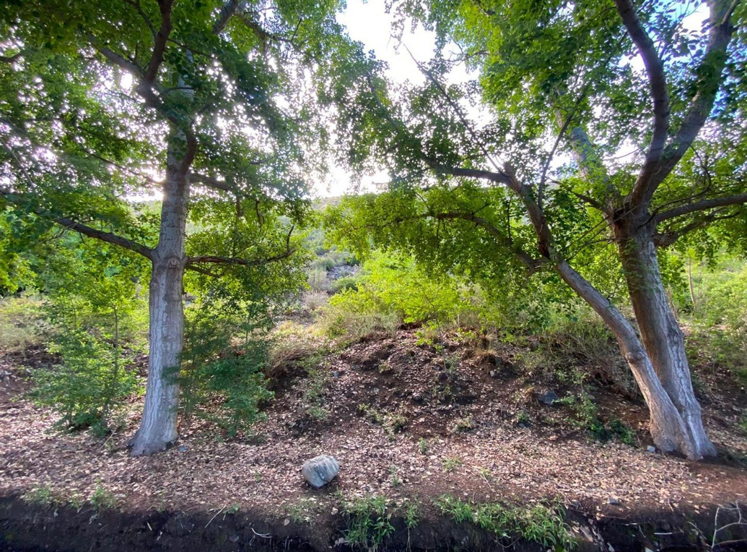 Foto de Venta lote, Potrerillos, Mendoza, imagen 4