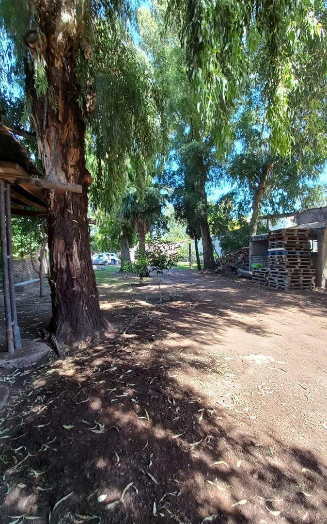 Foto de VENTA 3 CASAS +PISCINA+ SALON COMERCIAL+PARQUE, imagen 2
