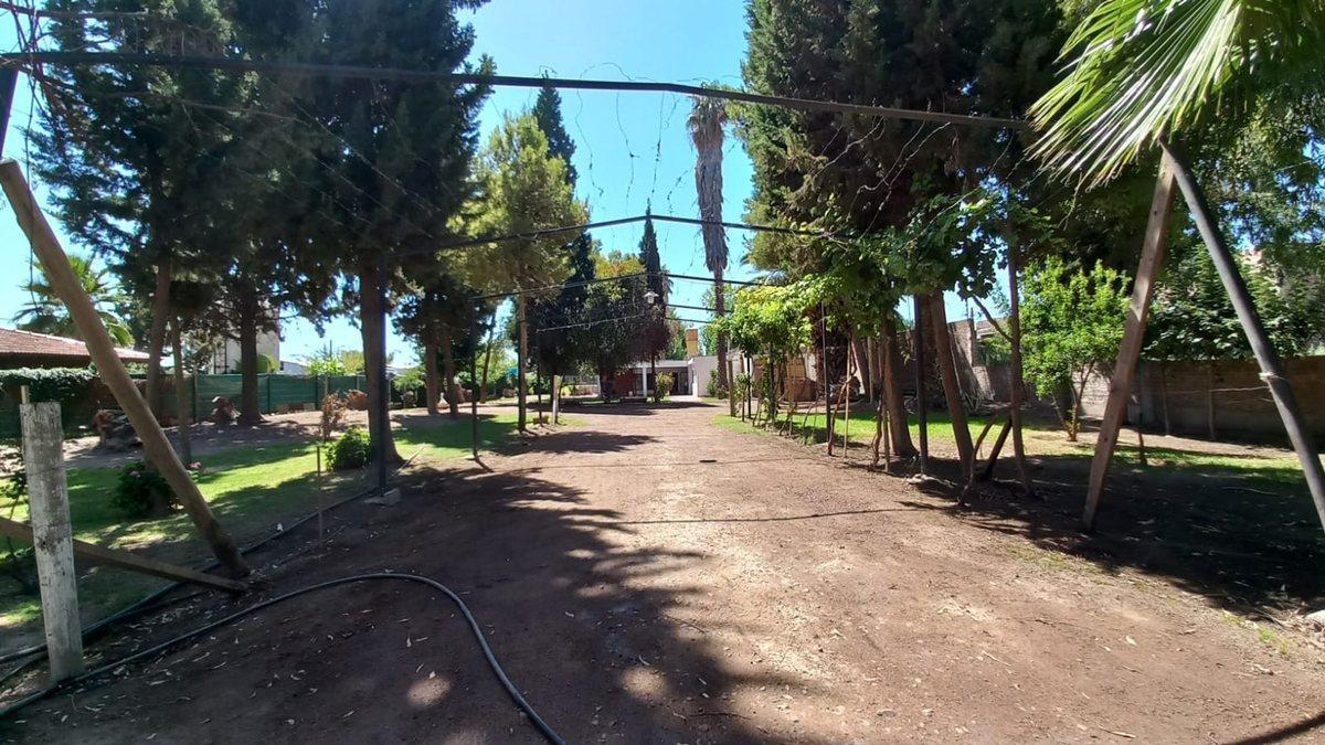 Foto de CASA QUINTA + SALON COMERCIAL. PISCINA -Guaymallén, imagen 2