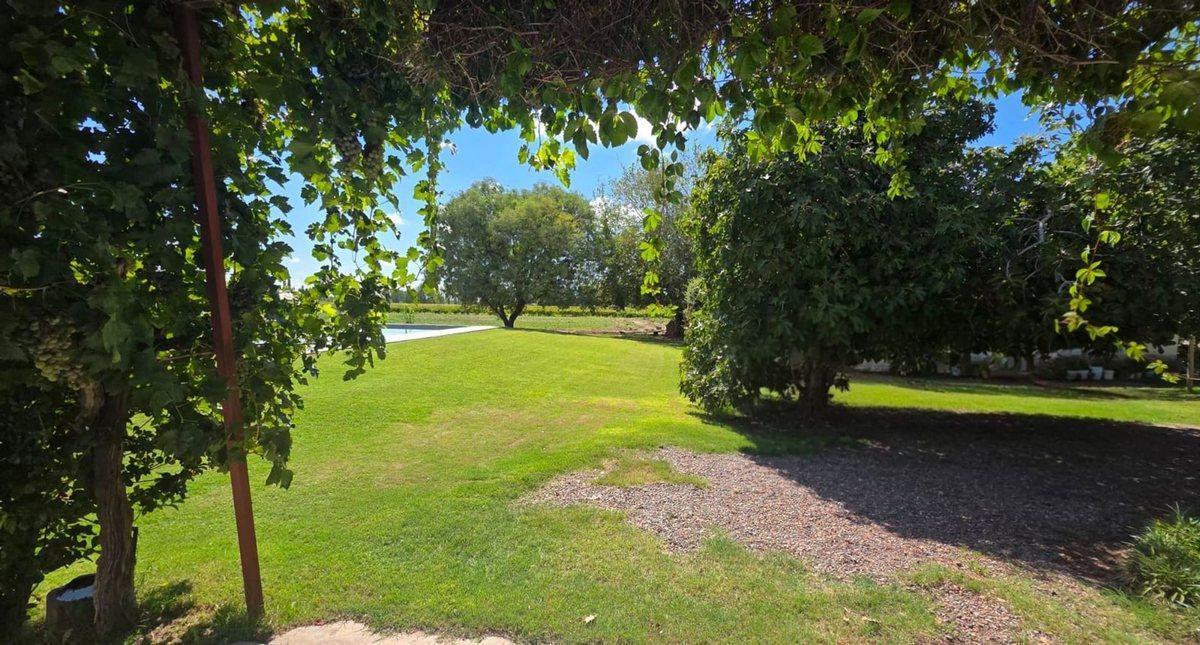 Foto de Venta Finca productiva, casa y piscina. Única!!, imagen 3