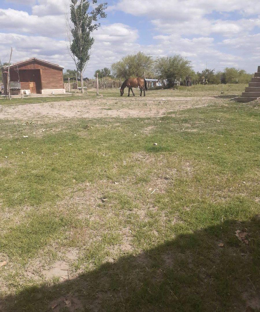 Foto de VENTA FINCA CON PISCINA LA DORMIDA STA. ROSA MZA, imagen 2