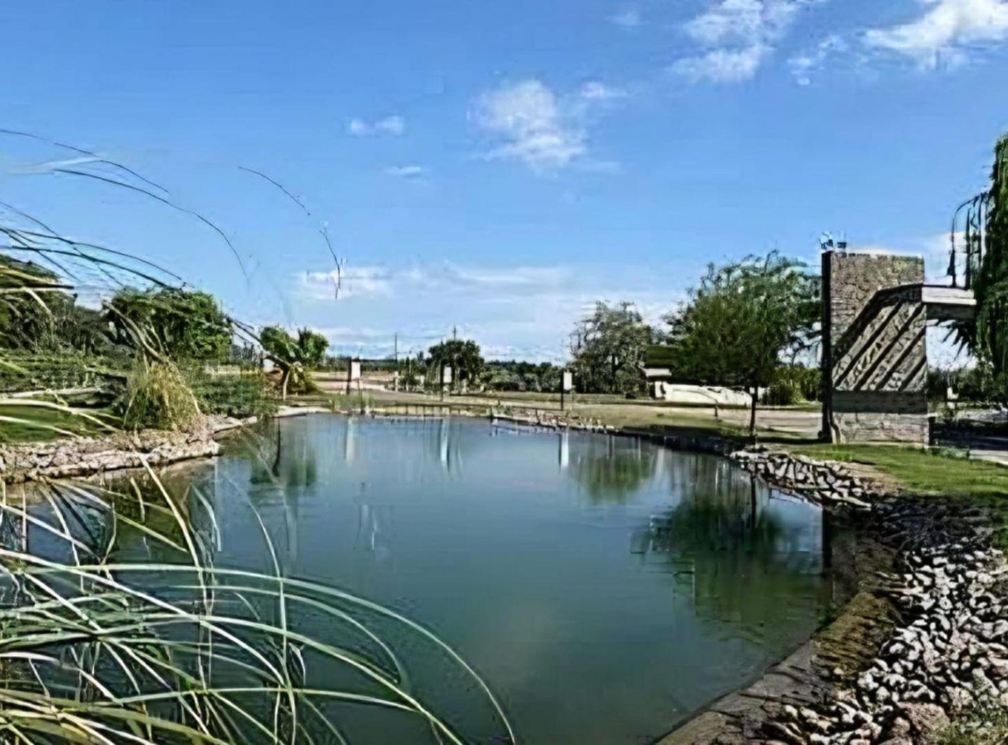 Foto de TERRENO EN VENTA EN CEPAS DEL CARMEN- JUNIN, imagen 3