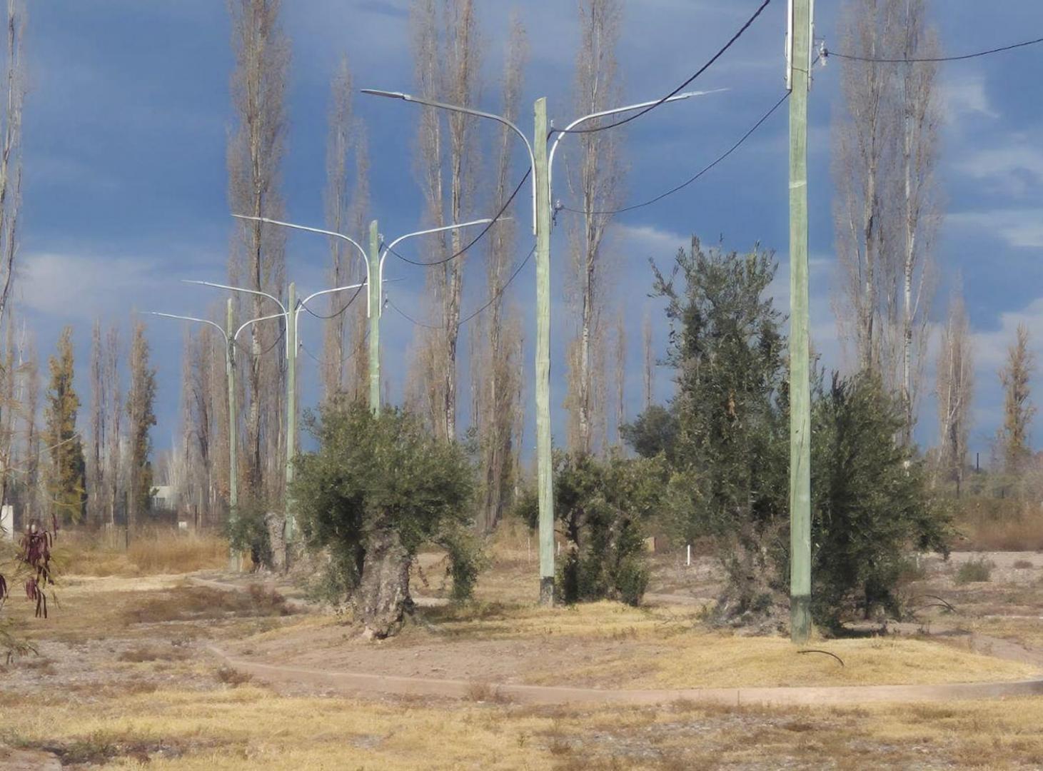 Foto de LOTE BARRIO PRIVADO .Escrituracion inmediata!, imagen 5