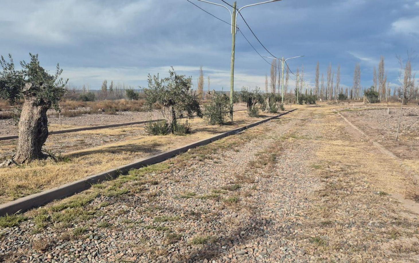 Foto de Venta Lote barrio privado, Luján de Cuyo, Mendoza, imagen 2