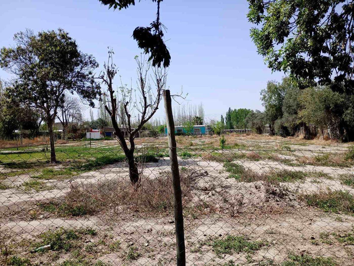 Foto de VENTA LOTE DEPARTAMENTO SAN MARTIN MENDOZA, imagen 3
