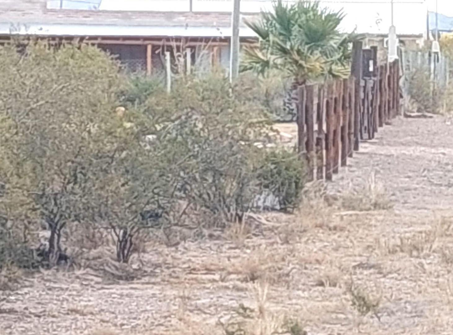 Foto de VENTA LOTE RAMA CAIDA SAN RAFAEL, imagen 2