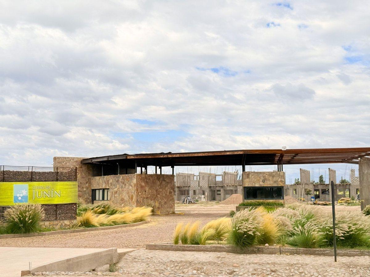 Foto de VENTA LOTE JUNIN MENDOZA, imagen 1