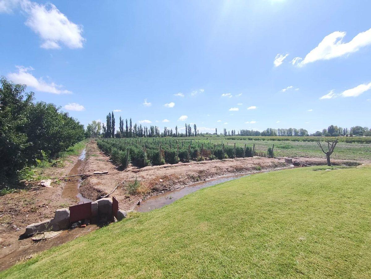 Foto de Venta Finca El Algarrobal Mendoza, imagen 5