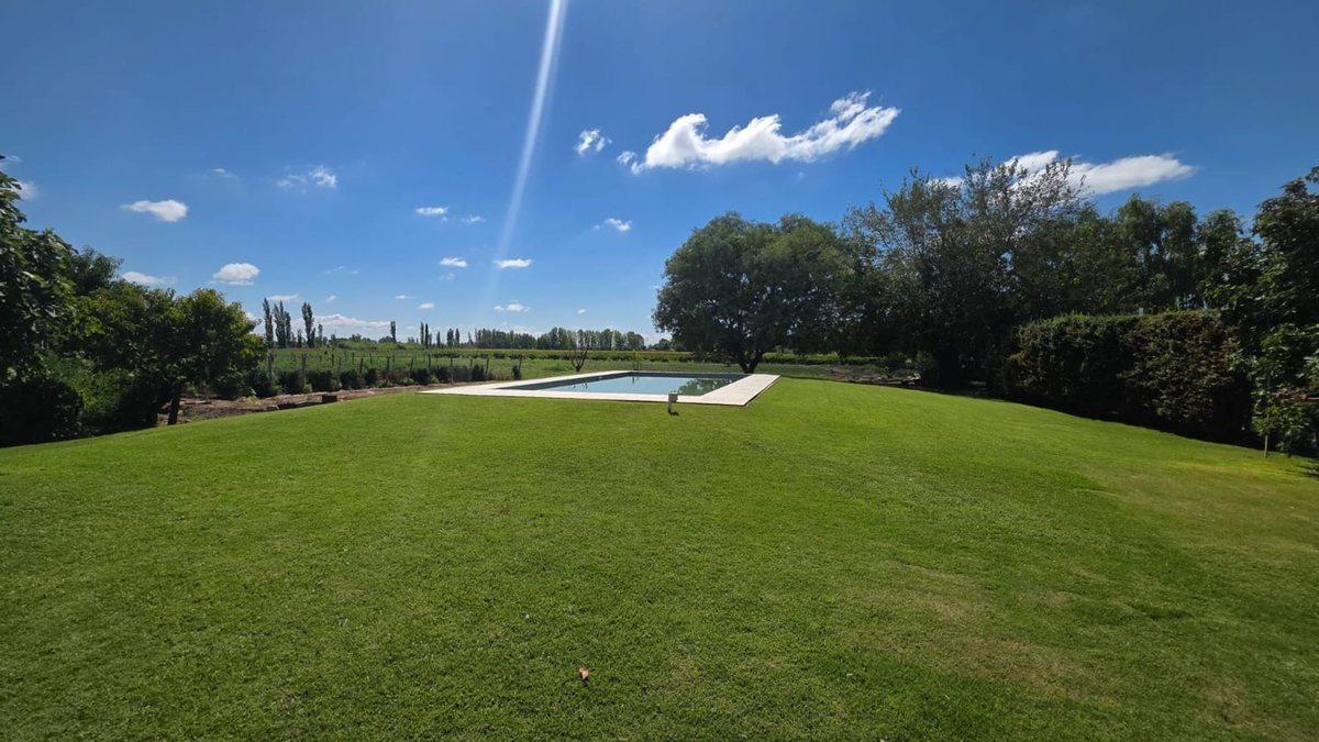 Foto de Venta Finca El Algarrobal Mendoza, imagen 3